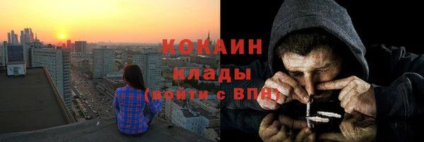 сатива Великий Новгород