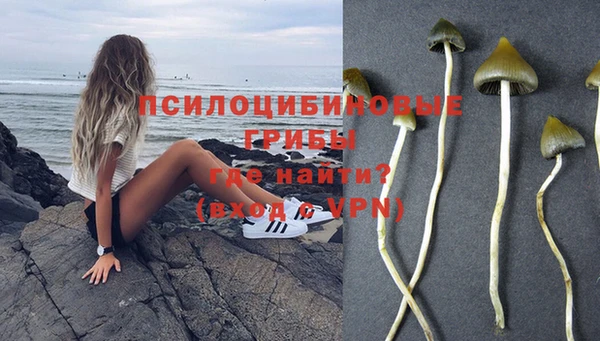 каннабис Медвежьегорск